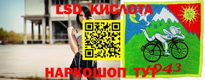 амф Камышлов