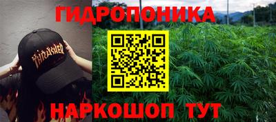 ECSTASY Канаш