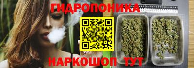 амф Камышлов